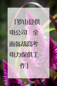 罗山县供电公司：全面备战高考电力保供工作